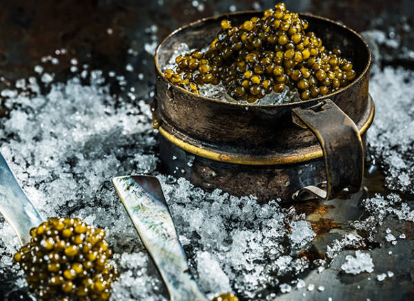 皇冠比分_“在法国皇冠比分，可以毫无顾虑地说，这些鱼子酱产自中国”